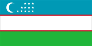 Custom Development - Uzebekistan Team