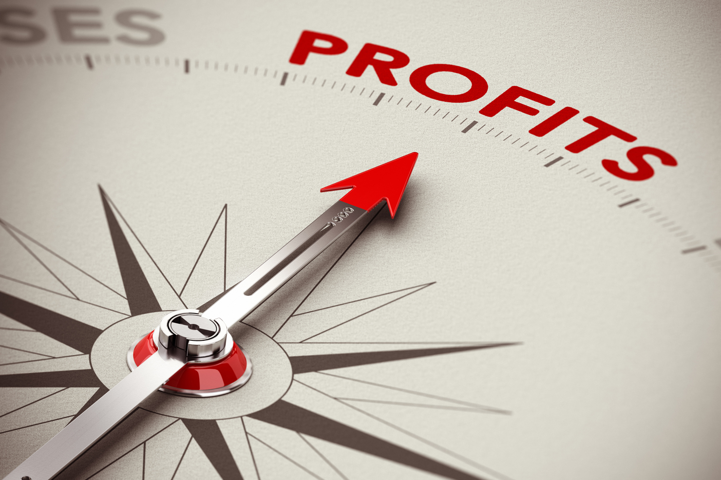 Top Tips for Increasing Your Rental Company’s Profitability 